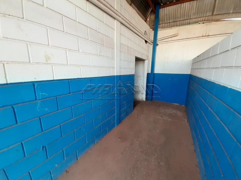 Alugar Comercial / Galp&atilde;o  Barrac&atilde;o em Ribeir&atilde;o Preto R$ 13.000,00 - Foto 13