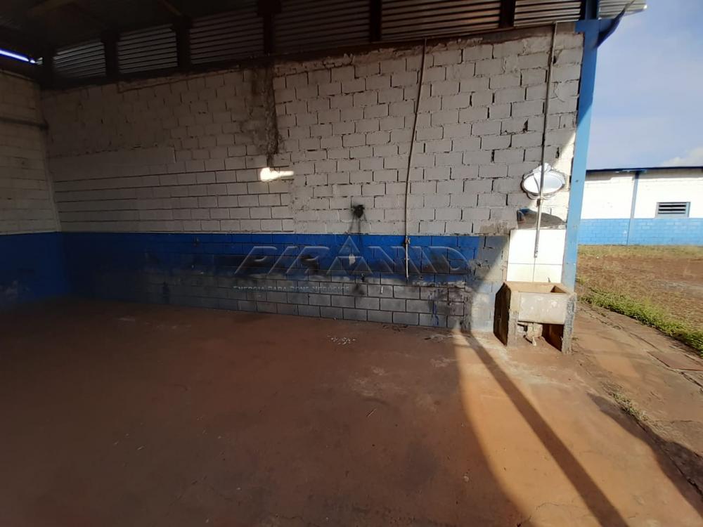 Alugar Comercial / Galp&atilde;o  Barrac&atilde;o em Ribeir&atilde;o Preto R$ 13.000,00 - Foto 26