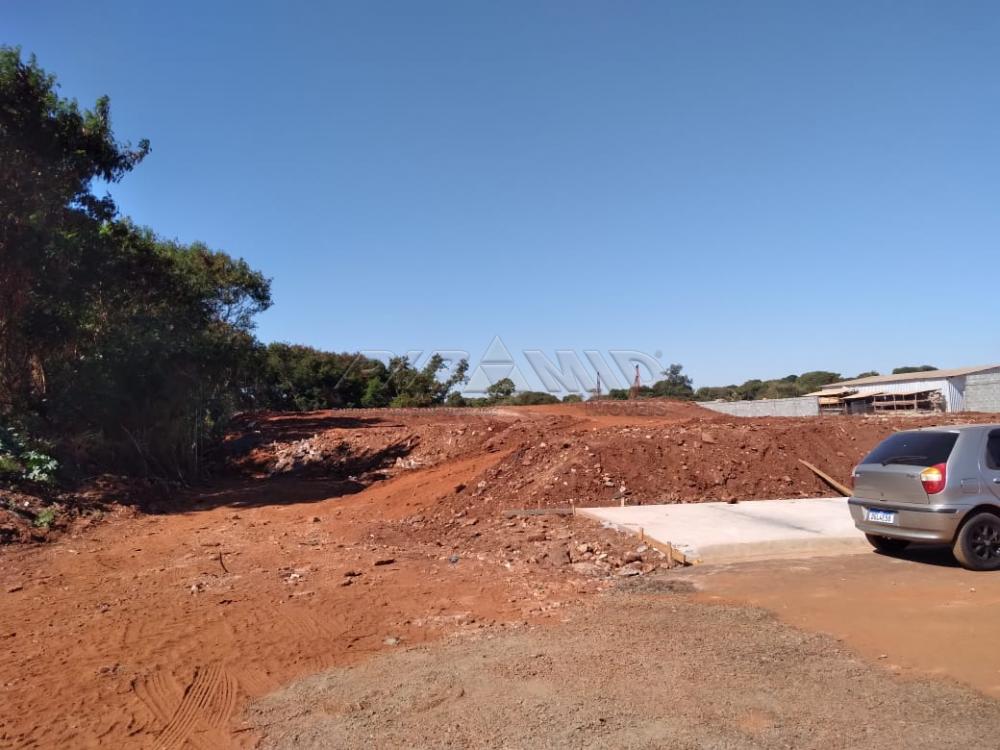 Alugar Terreno / &Aacute;rea em Ribeir&atilde;o Preto R$ 3.000,00 - Foto 3