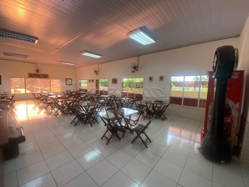 Alugar Comercial / Sal&atilde;o em Ribeir&atilde;o Preto R$ 5.500,00 - Foto 4