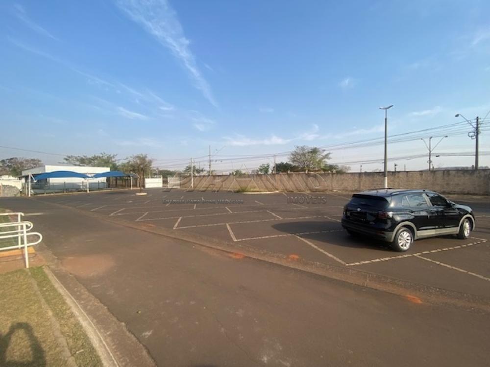 Alugar Comercial / Sal&atilde;o em Ribeir&atilde;o Preto R$ 5.500,00 - Foto 19