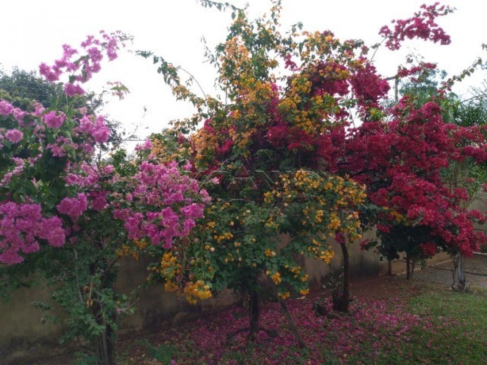 Comprar Casa / Condom&iacute;nio em Ribeir&atilde;o Preto R$ 950.000,00 - Foto 8