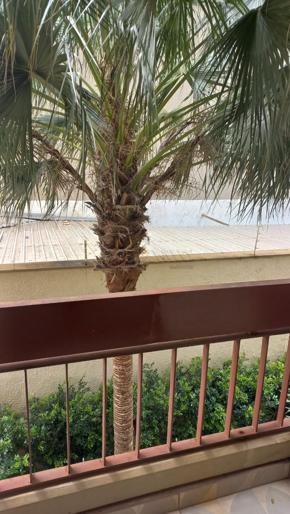 Alugar Apartamento / Padr&atilde;o em Ribeir&atilde;o Preto R$ 1.300,00 - Foto 6