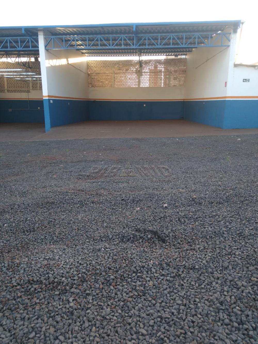 Alugar Terreno / Terreno em Ribeir&atilde;o Preto R$ 17.000,00 - Foto 7