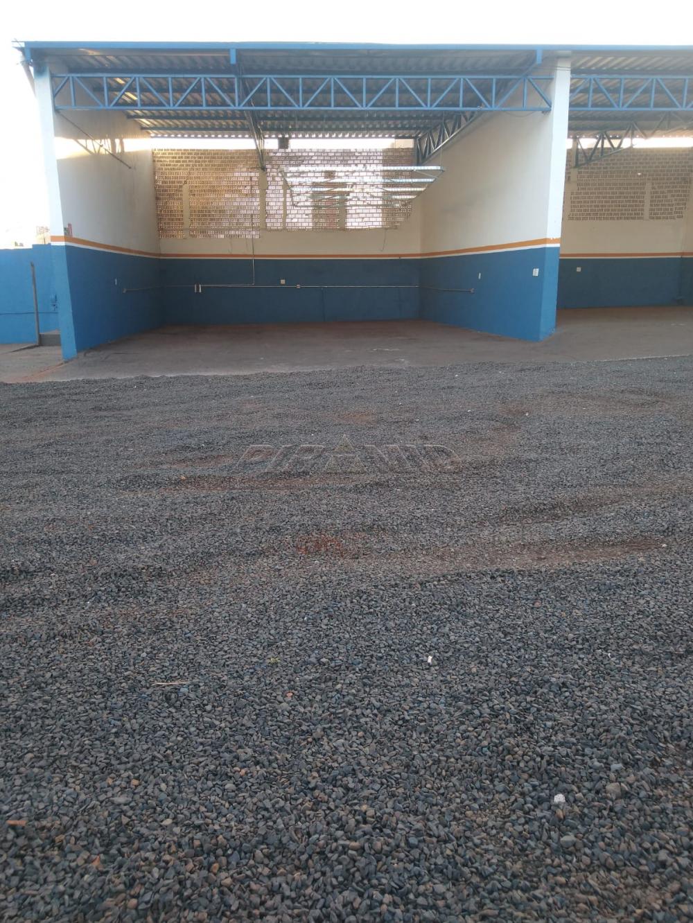 Alugar Terreno / Terreno em Ribeir&atilde;o Preto R$ 17.000,00 - Foto 9