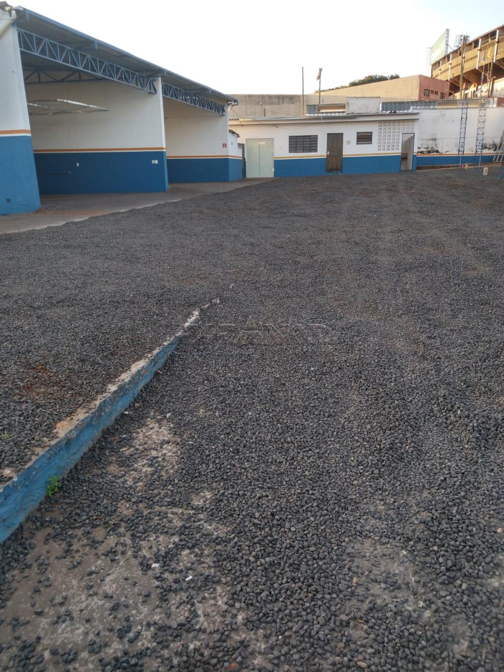 Alugar Terreno / Terreno em Ribeir&atilde;o Preto R$ 17.000,00 - Foto 13