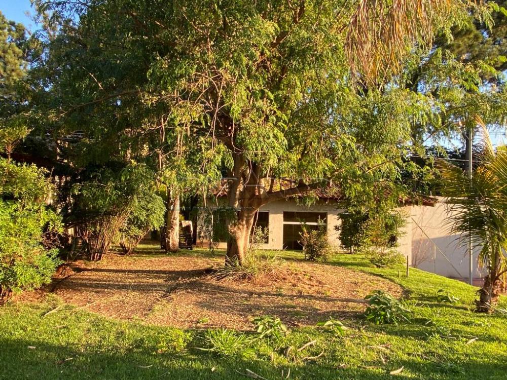 Comprar Casa / Padr&atilde;o em Ribeir&atilde;o Preto R$ 2.750.000,00 - Foto 35