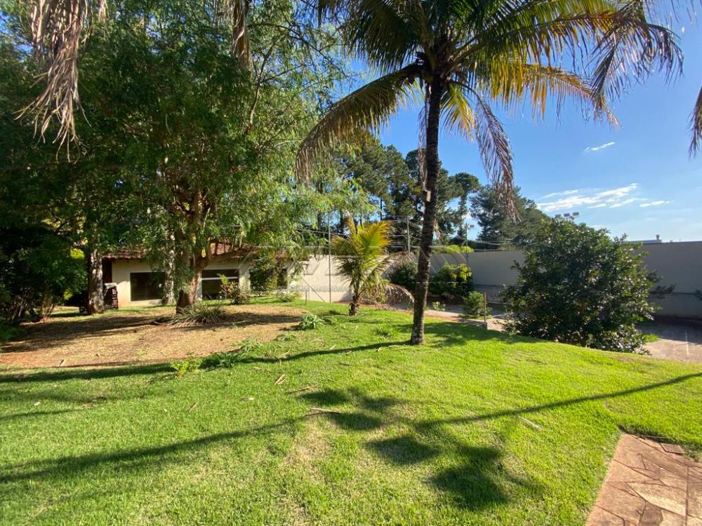 Comprar Casa / Padr&atilde;o em Ribeir&atilde;o Preto R$ 2.750.000,00 - Foto 38