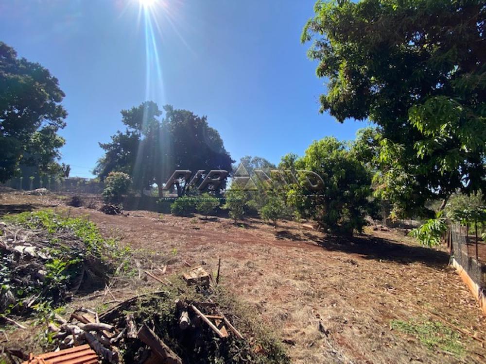 Alugar Casa / Condom&iacute;nio em Ribeir&atilde;o Preto R$ 8.000,00 - Foto 24