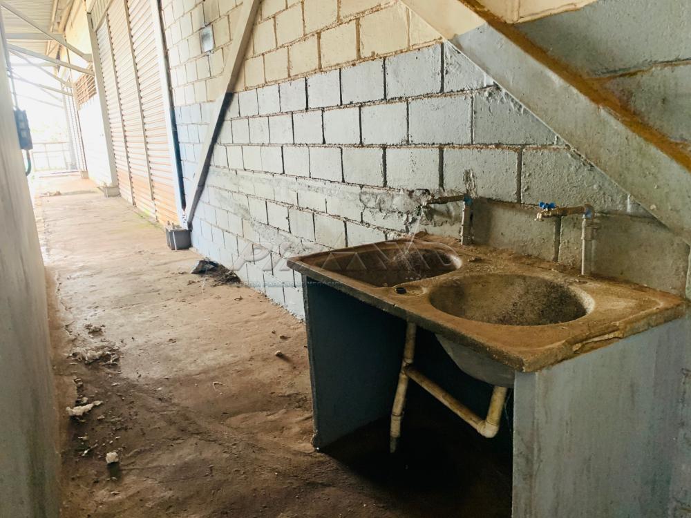 Alugar Comercial / Galp&atilde;o  Barrac&atilde;o em Ribeir&atilde;o Preto R$ 60.000,00 - Foto 32