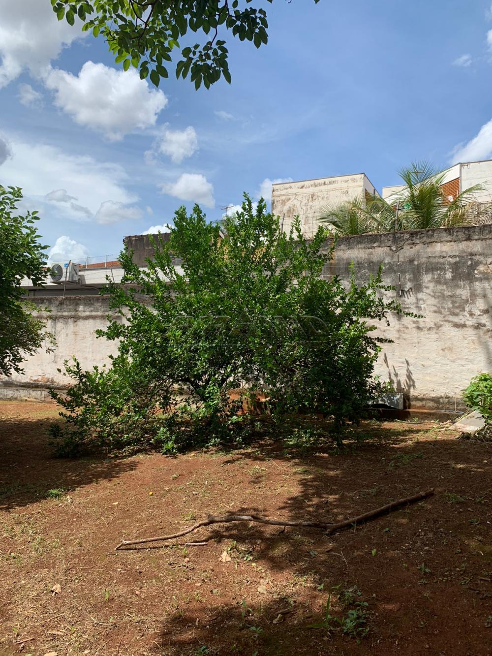 Alugar Casa / Padr&atilde;o em Ribeir&atilde;o Preto R$ 9.000,00 - Foto 33