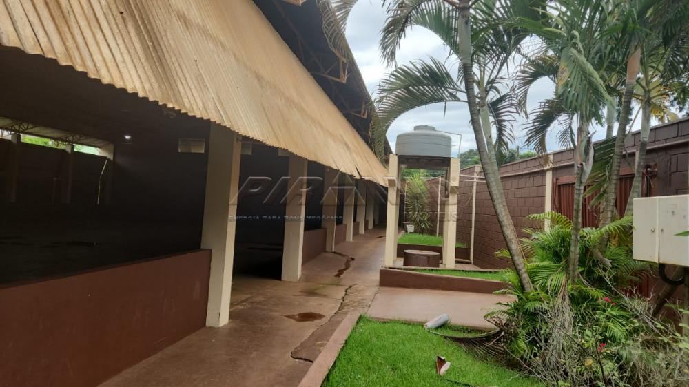 Alugar Comercial / Galp&atilde;o  Barrac&atilde;o em Ribeir&atilde;o Preto R$ 7.000,00 - Foto 6