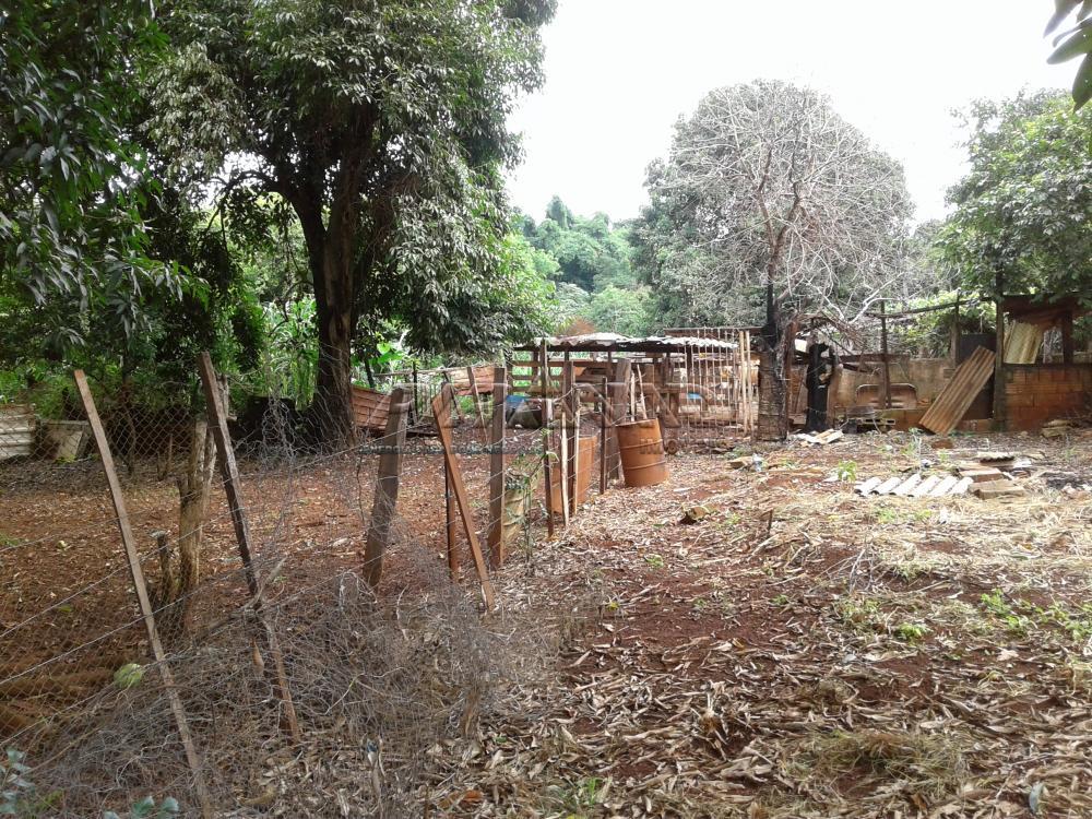 Comprar Terreno / &Aacute;rea em Ribeir&atilde;o Preto R$ 1.100.000,00 - Foto 3