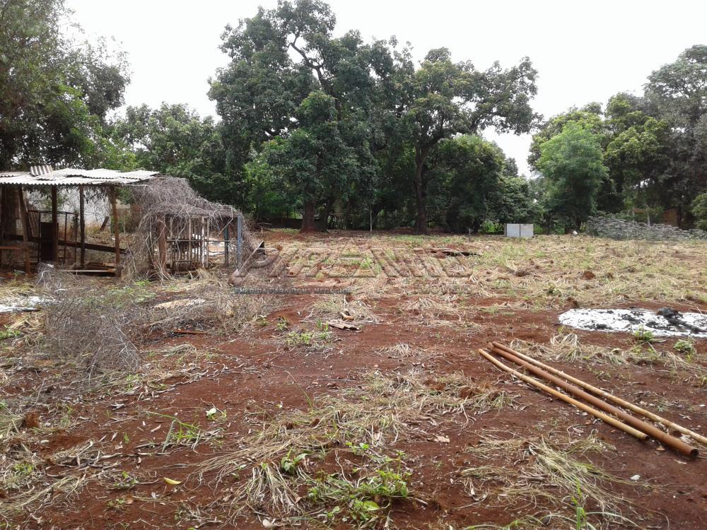 Comprar Terreno / &Aacute;rea em Ribeir&atilde;o Preto R$ 1.100.000,00 - Foto 4