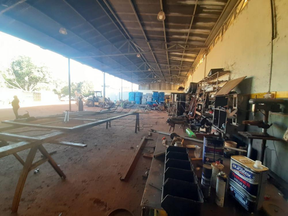 Alugar Comercial / Galp&atilde;o  Barrac&atilde;o em Ribeir&atilde;o Preto R$ 10.000,00 - Foto 18