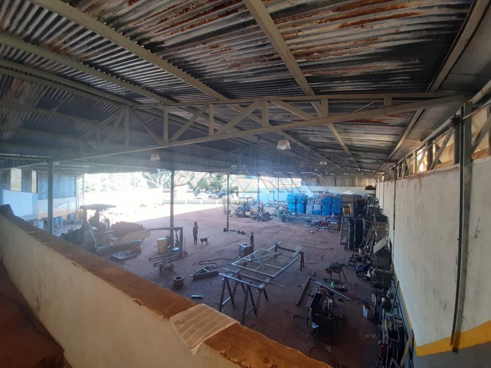 Alugar Comercial / Galp&atilde;o  Barrac&atilde;o em Ribeir&atilde;o Preto R$ 10.000,00 - Foto 20