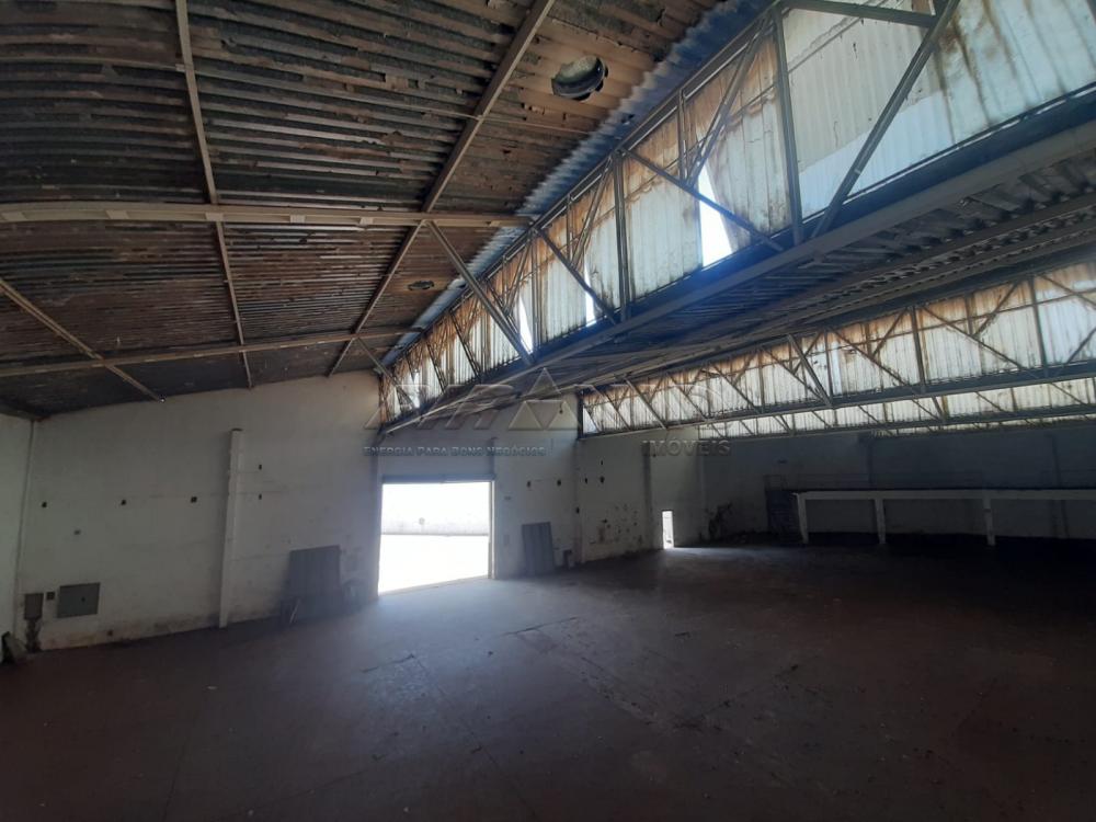 Alugar Comercial / Galp&atilde;o  Barrac&atilde;o em Ribeir&atilde;o Preto R$ 20.000,00 - Foto 3