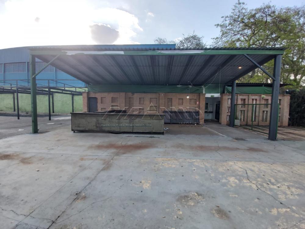 Alugar Comercial / Sal&atilde;o em Ribeir&atilde;o Preto R$ 16.000,00 - Foto 5