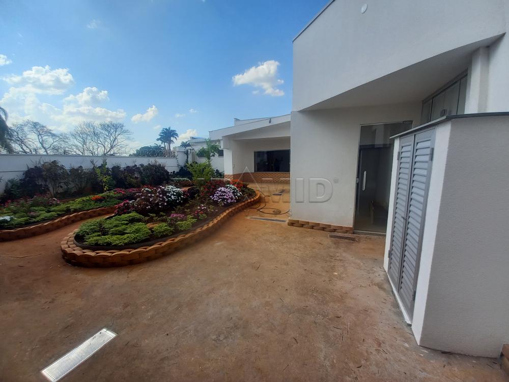 Alugar Comercial / Sala em Ribeir&atilde;o Preto R$ 6.500,00 - Foto 7