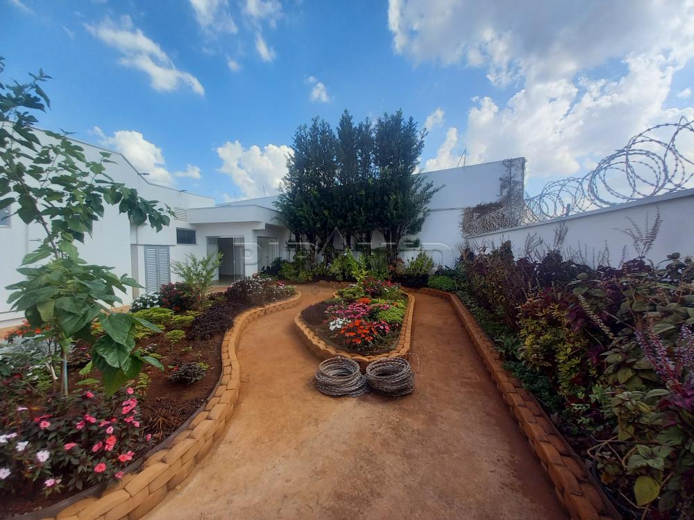 Alugar Comercial / Sala em Ribeir&atilde;o Preto R$ 6.500,00 - Foto 9