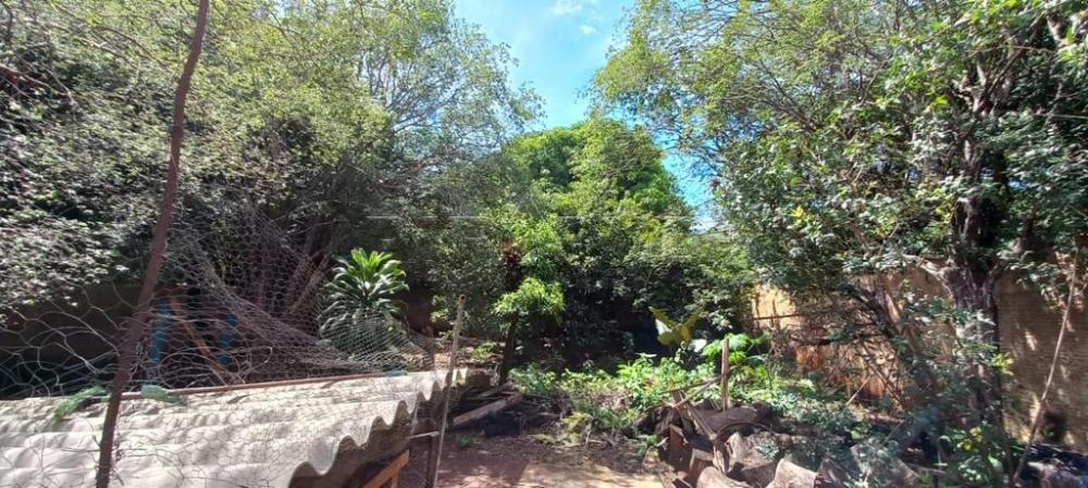 Comprar Casa / Padr&atilde;o em Ribeir&atilde;o Preto R$ 1.500.000,00 - Foto 24