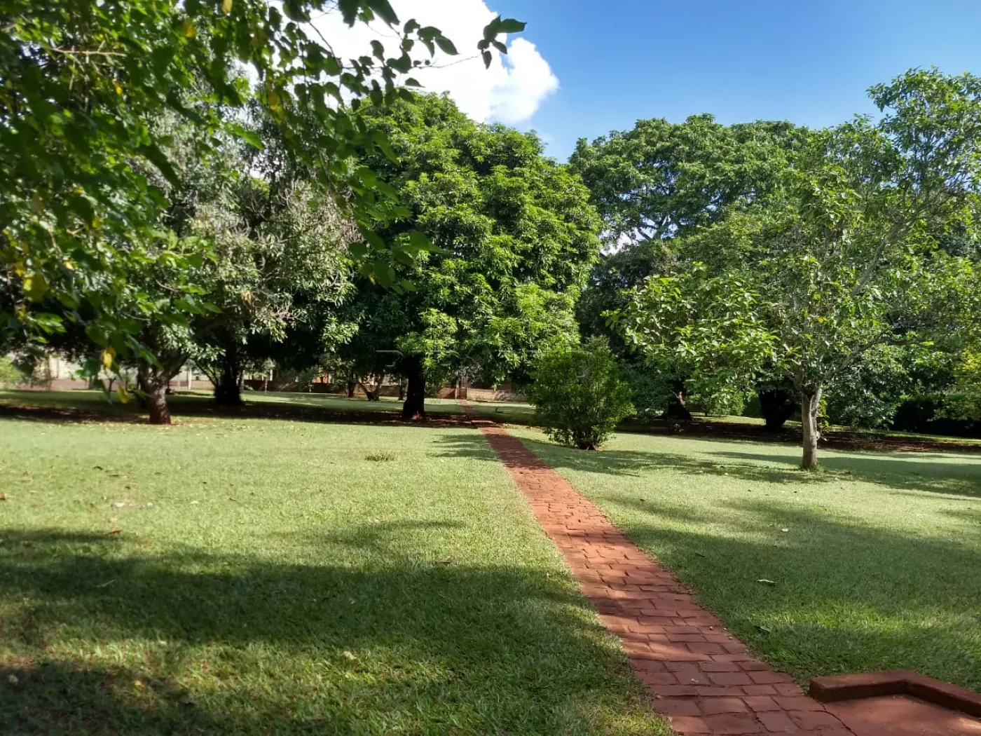 Comprar Terreno / &Aacute;rea em Ribeir&atilde;o Preto R$ 1.575.000,00 - Foto 2