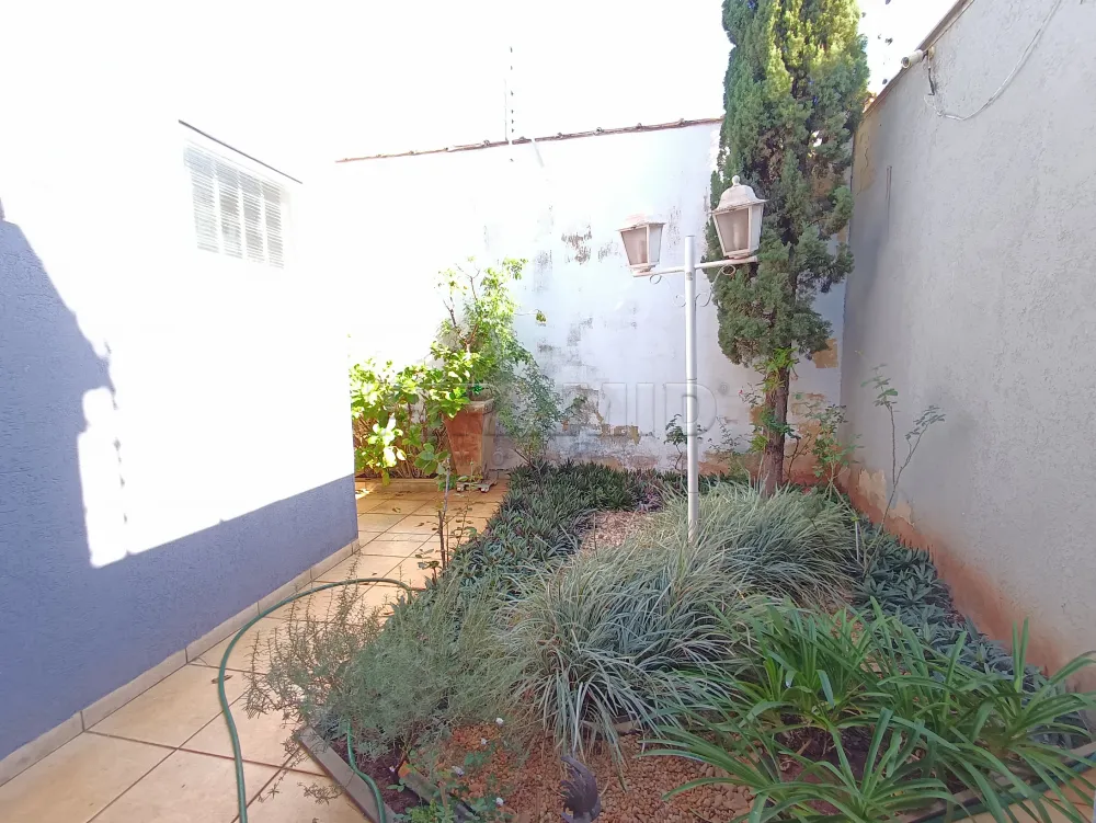 Alugar Casa / Padr&atilde;o em Ribeir&atilde;o Preto R$ 3.000,00 - Foto 3