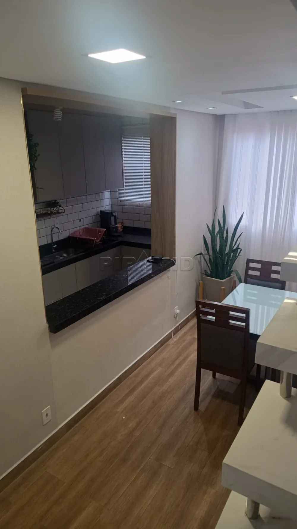 Alugar Apartamento / Cobertura em Ribeir&atilde;o Preto R$ 850,00 - Foto 3