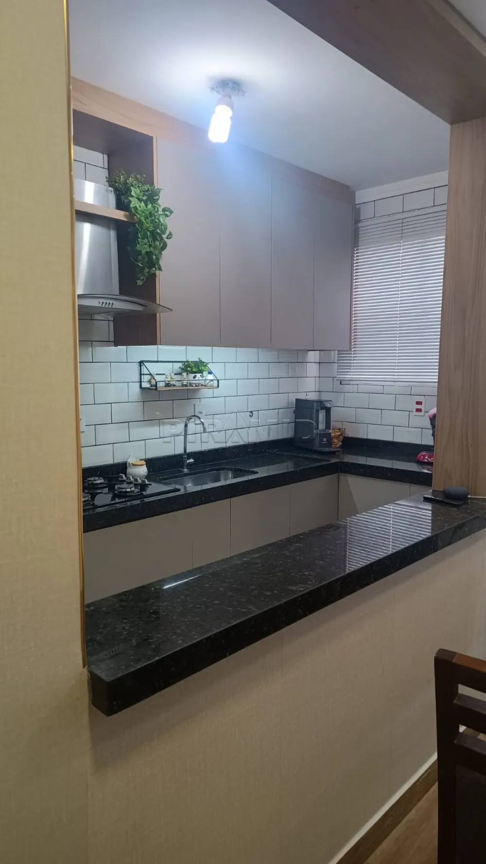 Alugar Apartamento / Cobertura em Ribeir&atilde;o Preto R$ 850,00 - Foto 5