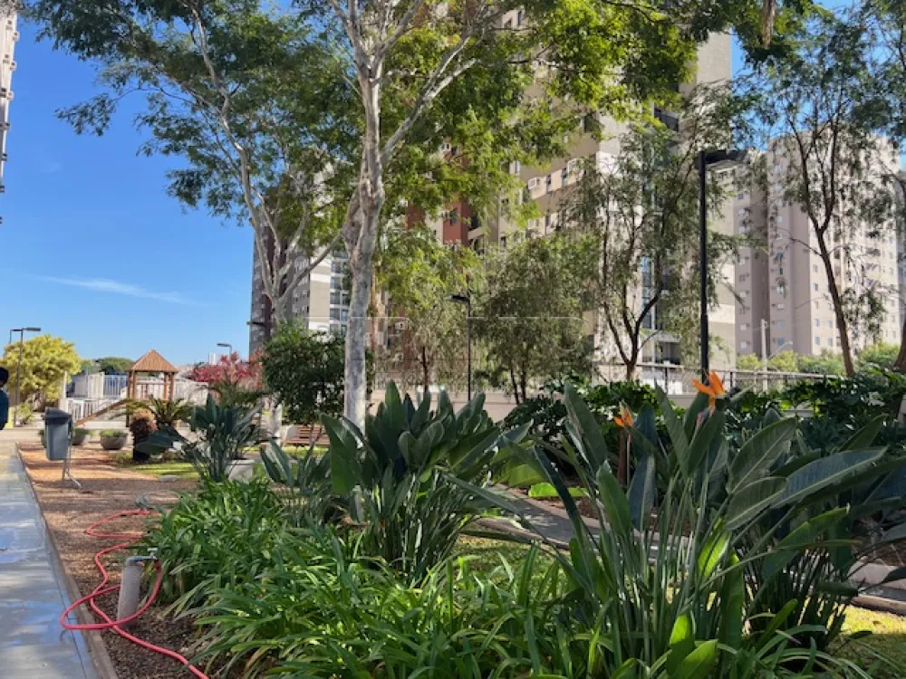 Alugar Apartamento / Padr&atilde;o em Ribeir&atilde;o Preto R$ 1.700,00 - Foto 11