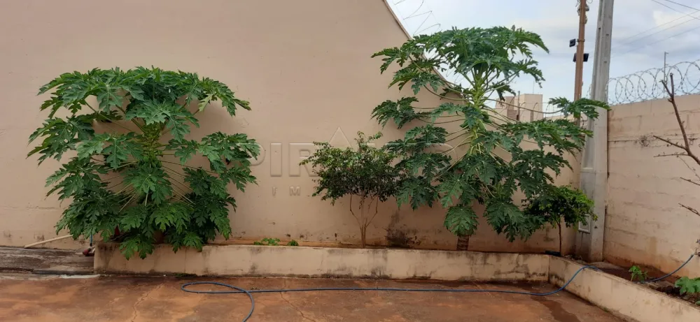 Comprar Casa / Padr&atilde;o em Ribeir&atilde;o Preto R$ 380.000,00 - Foto 15