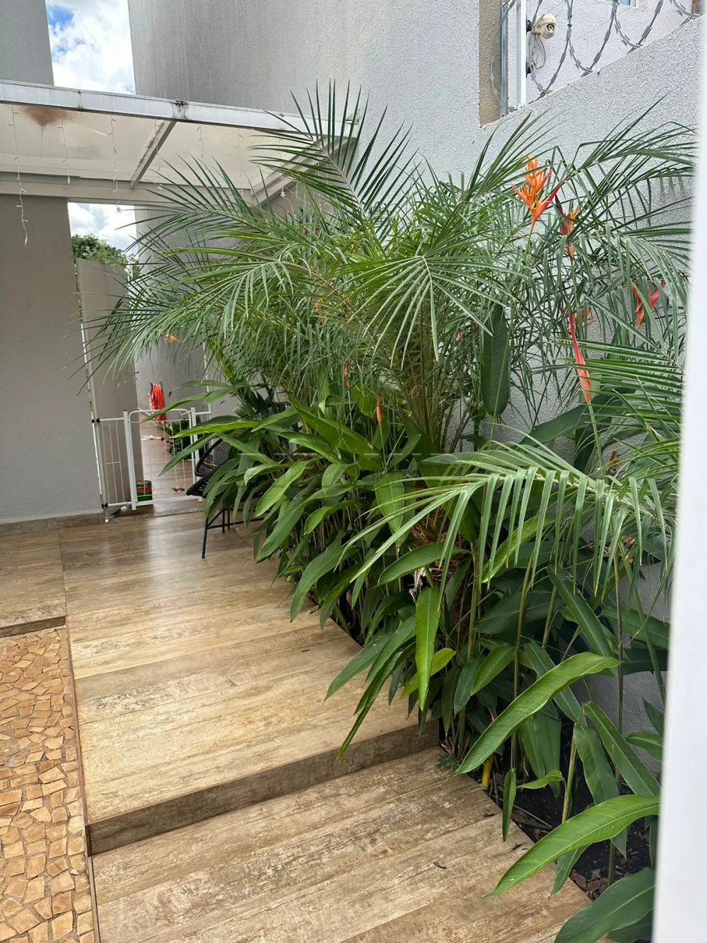 Comprar Casa / Padr&atilde;o em Ribeir&atilde;o Preto R$ 640.000,00 - Foto 1