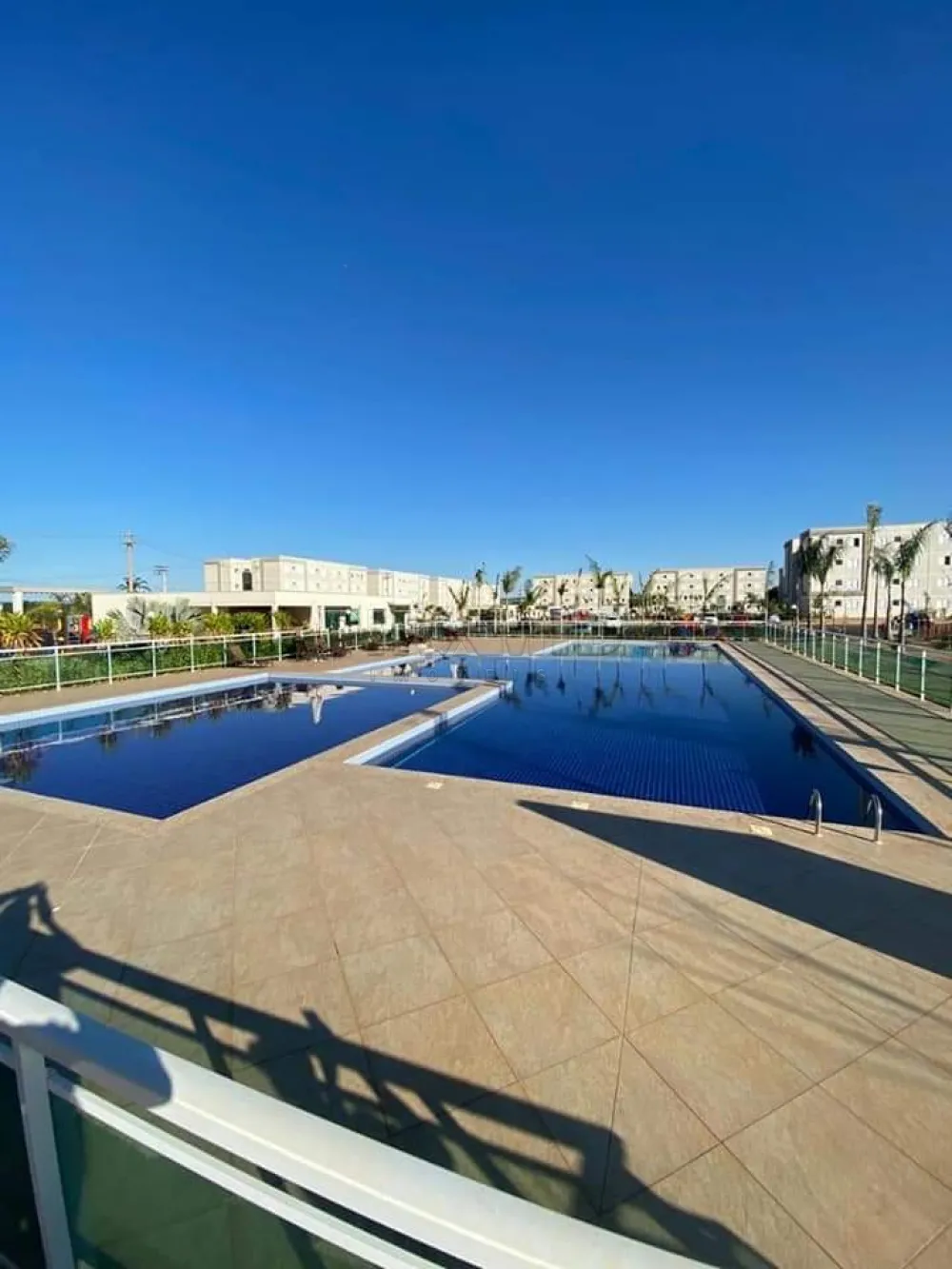 Alugar Apartamento / Padr&atilde;o em Ribeir&atilde;o Preto R$ 900,00 - Foto 9