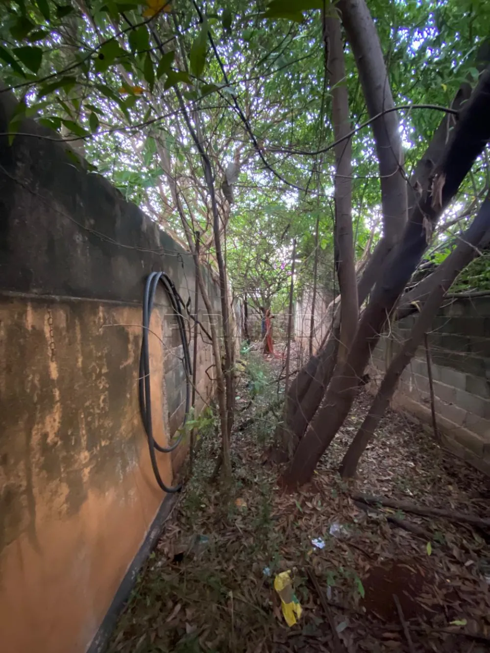 Comprar Casa / Padr&atilde;o em Ribeir&atilde;o Preto R$ 320.000,00 - Foto 9