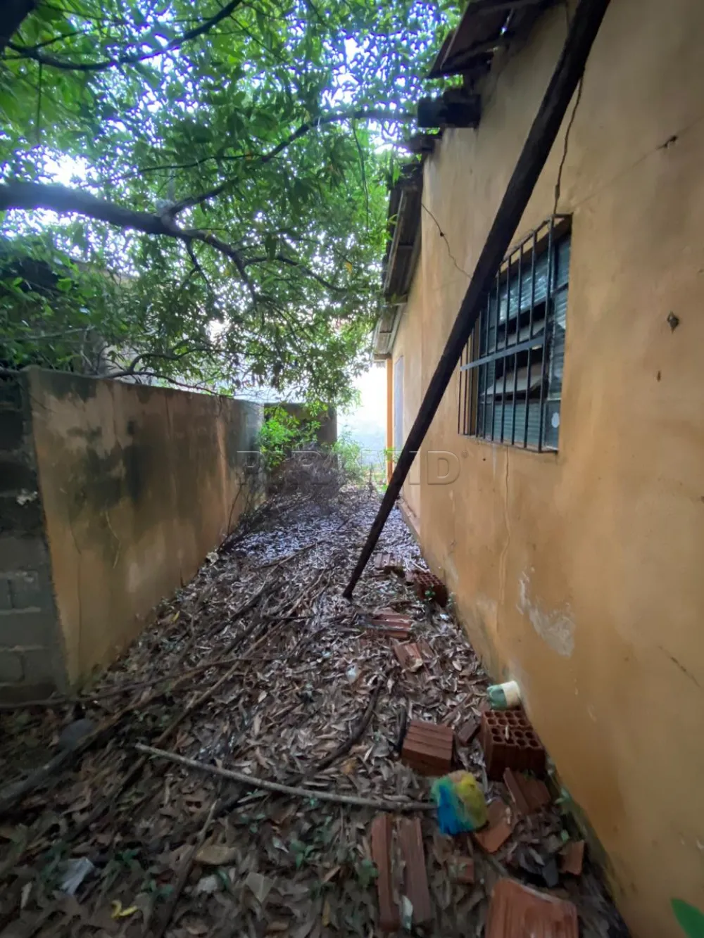 Comprar Casa / Padr&atilde;o em Ribeir&atilde;o Preto R$ 320.000,00 - Foto 10