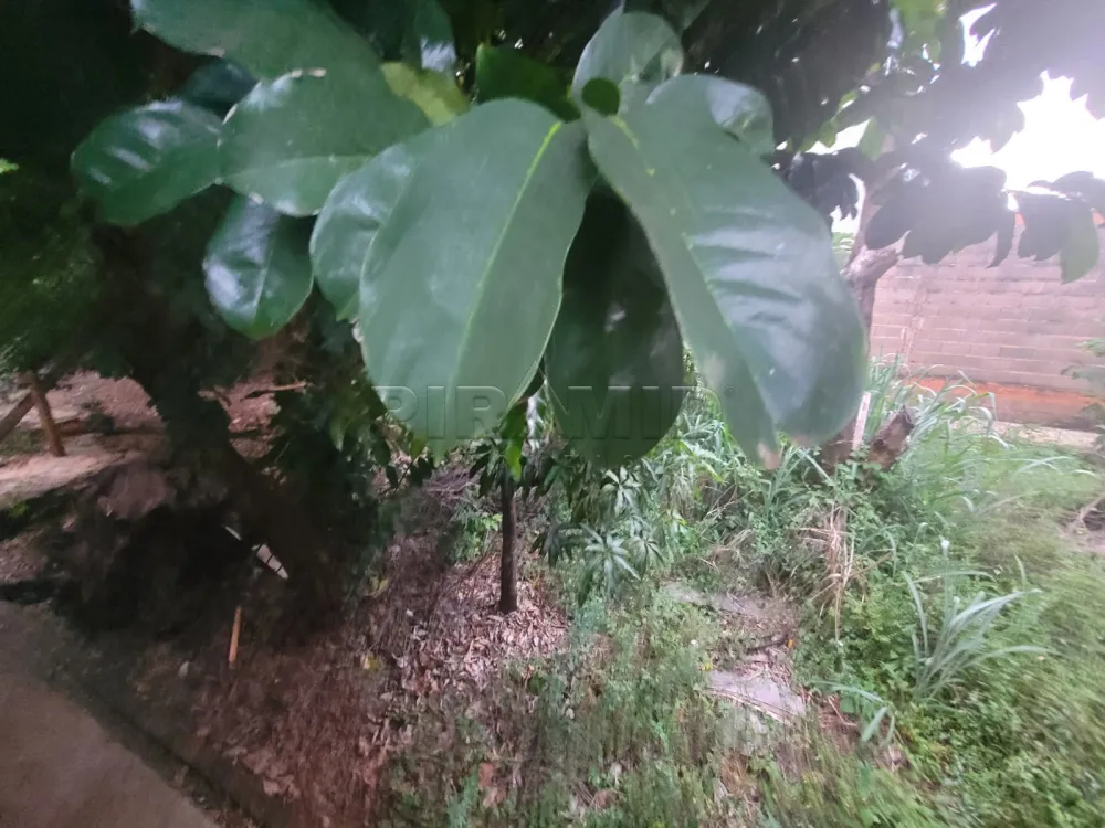 Comprar Casa / Padr&atilde;o em Ribeir&atilde;o Preto R$ 550.000,00 - Foto 21