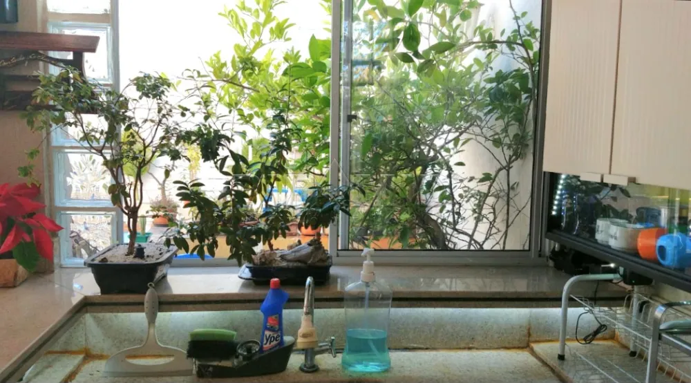 Comprar Casa / Condom&iacute;nio em Ribeir&atilde;o Preto R$ 1.150.000,00 - Foto 21