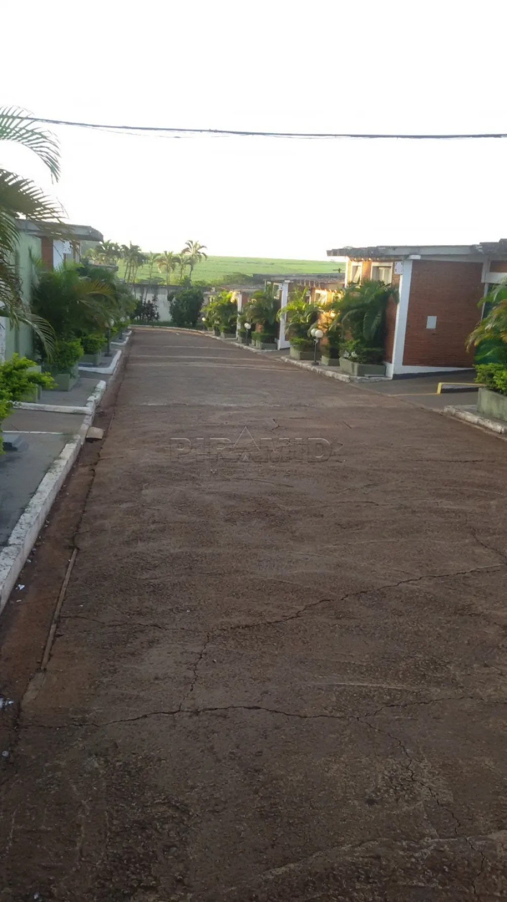 Comprar Comercial / Pr&eacute;dio em Ribeir&atilde;o Preto R$ 6.000.000,00 - Foto 3