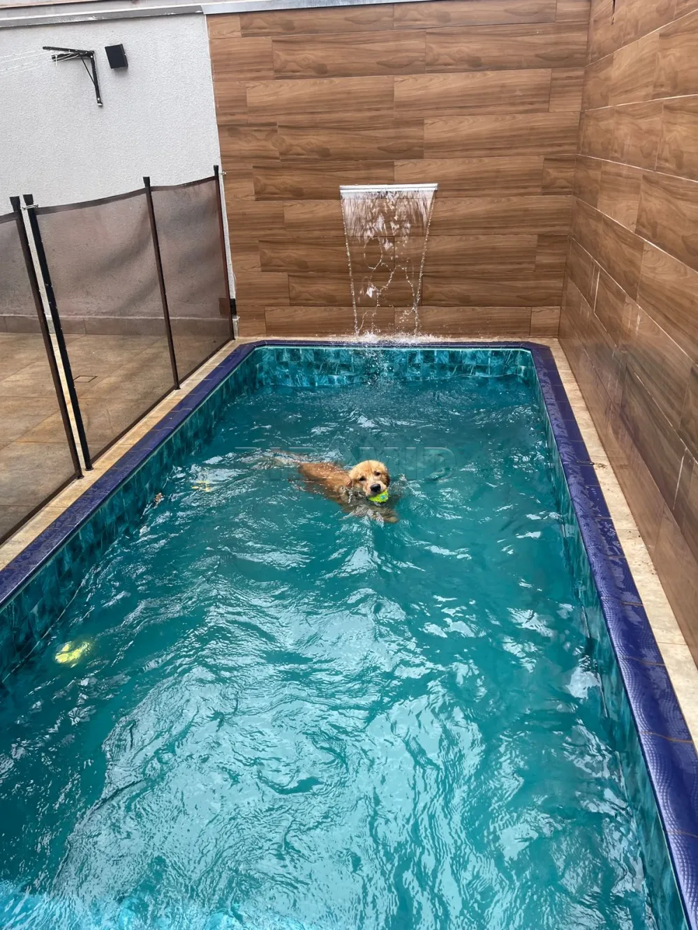 Comprar Casa / Padr&atilde;o em Ribeir&atilde;o Preto R$ 670.000,00 - Foto 20