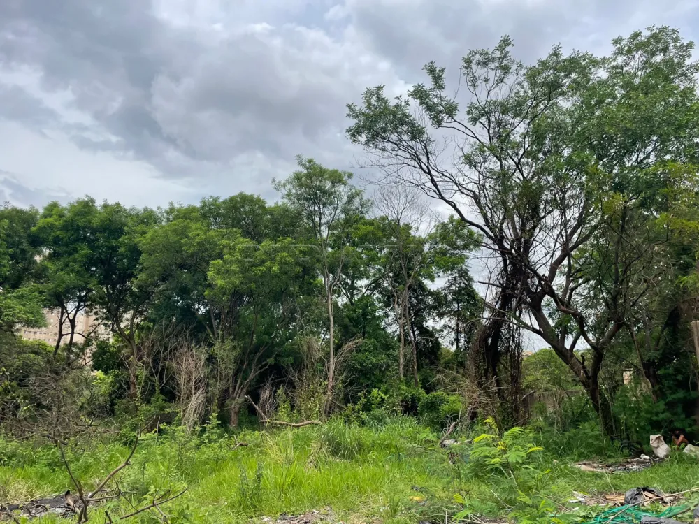 Comprar Terreno / &Aacute;rea em Ribeir&atilde;o Preto R$ 2.800.000,00 - Foto 12