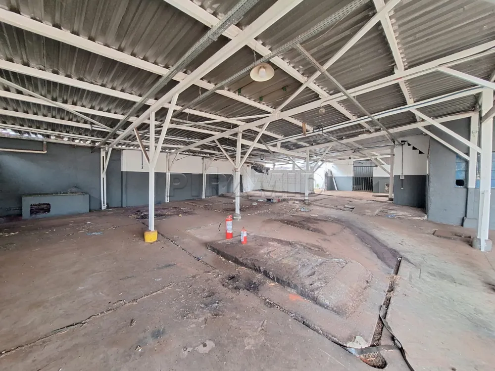 Alugar Comercial / Galp&atilde;o  Barrac&atilde;o em Ribeir&atilde;o Preto R$ 15.000,00 - Foto 3