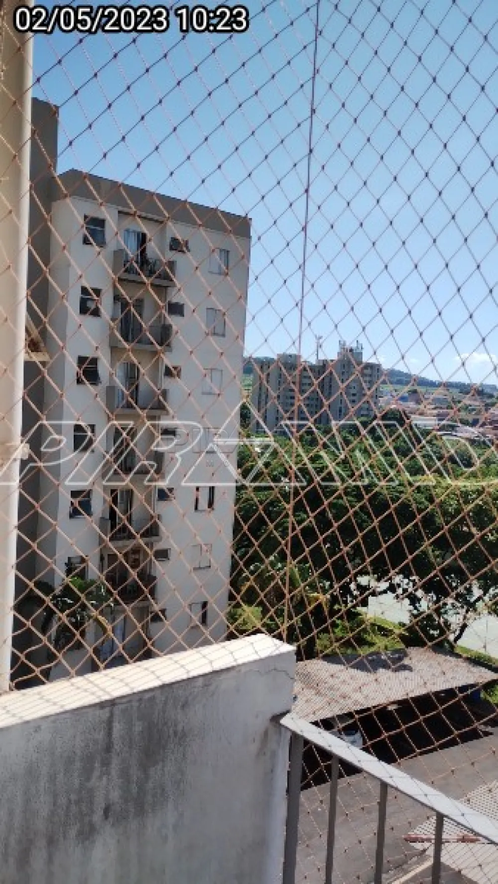 Alugar Apartamento / Padr&atilde;o em Ribeir&atilde;o Preto R$ 950,00 - Foto 4