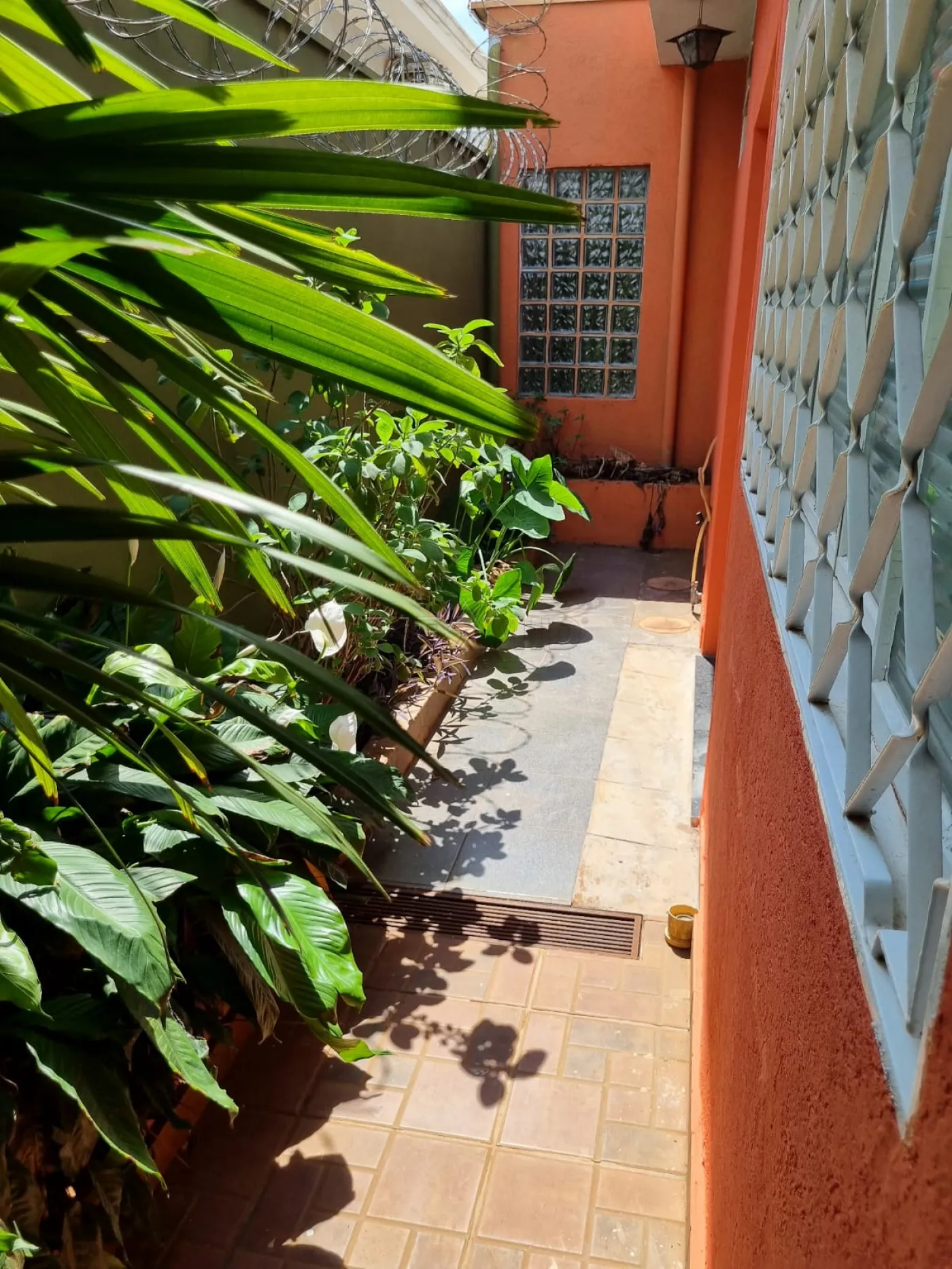 Alugar Casa / Padr&atilde;o em Ribeir&atilde;o Preto R$ 3.500,00 - Foto 36