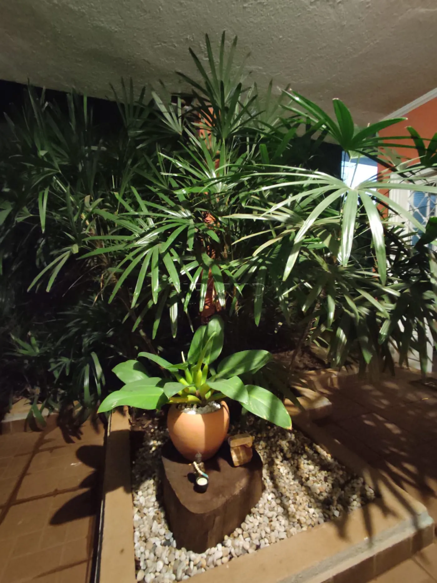 Alugar Casa / Padr&atilde;o em Ribeir&atilde;o Preto R$ 3.500,00 - Foto 37