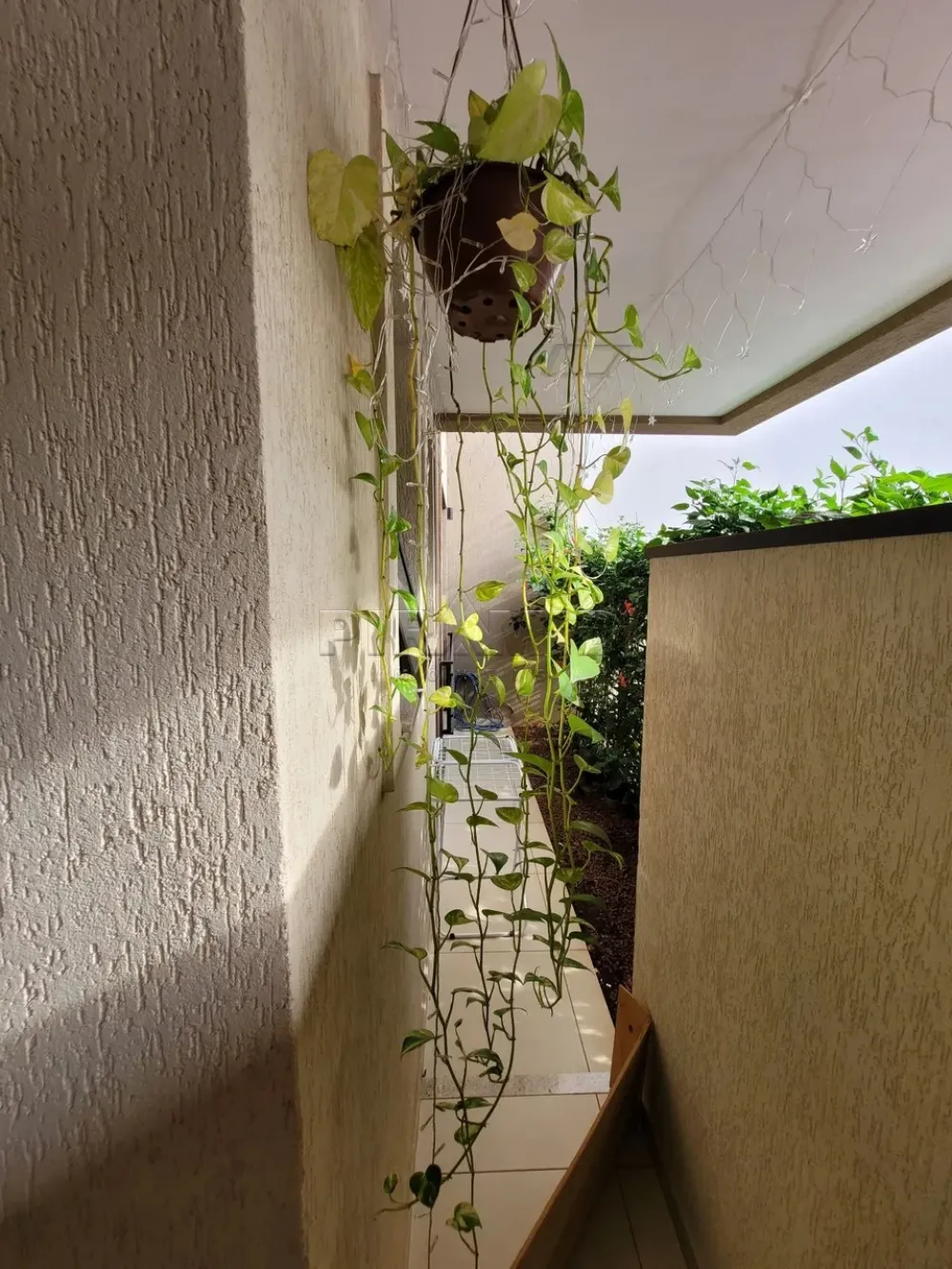 Alugar Apartamento / Padr&atilde;o em Ribeir&atilde;o Preto R$ 4.100,00 - Foto 5