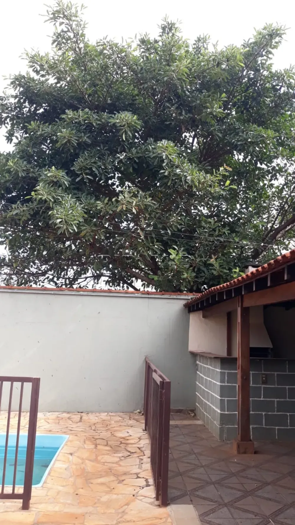 Alugar Casa / Padr&atilde;o em Ribeir&atilde;o Preto R$ 2.600,00 - Foto 3