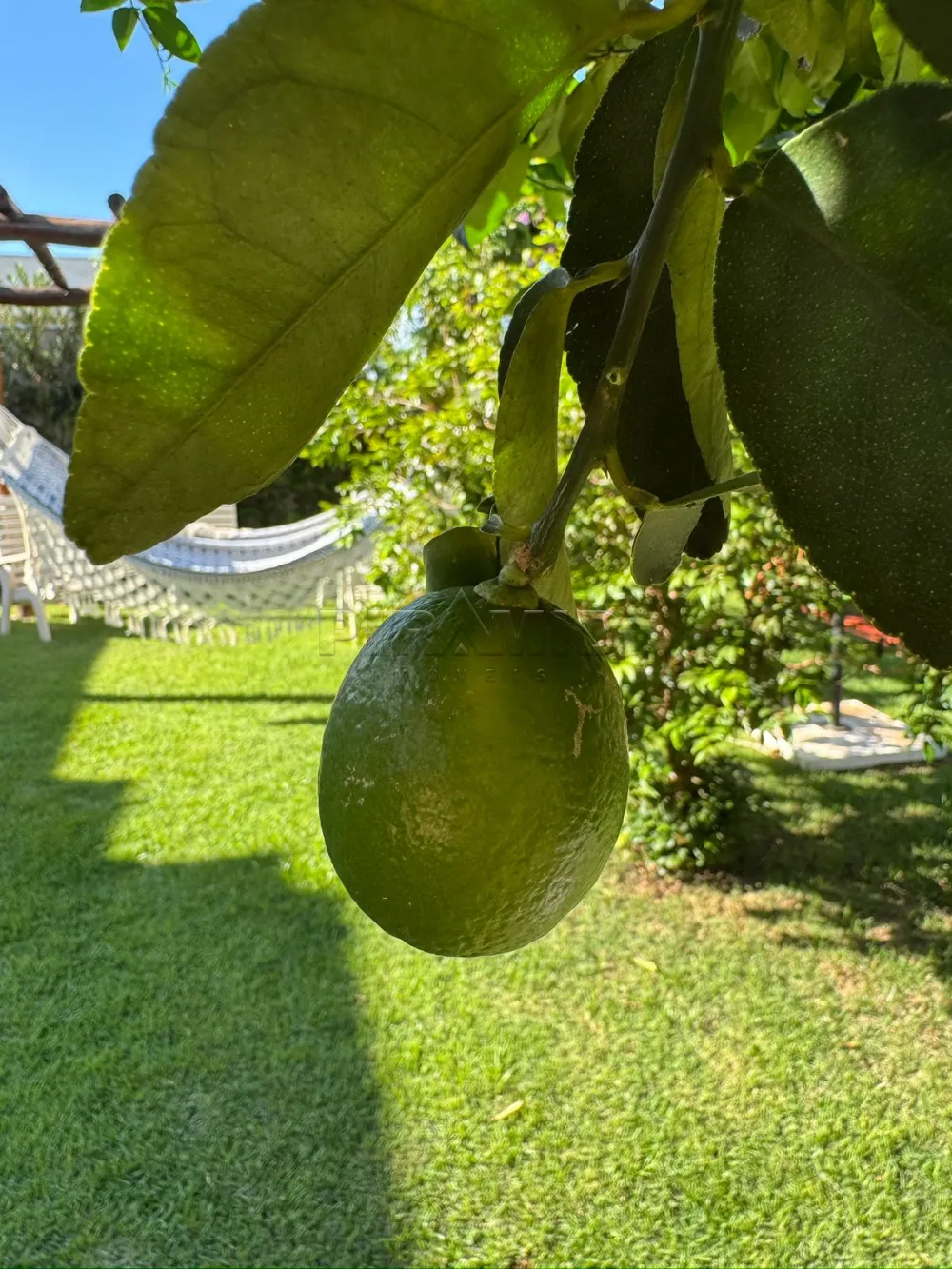 Comprar Casa / Condom&iacute;nio em Ribeir&atilde;o Preto R$ 1.950.000,00 - Foto 27