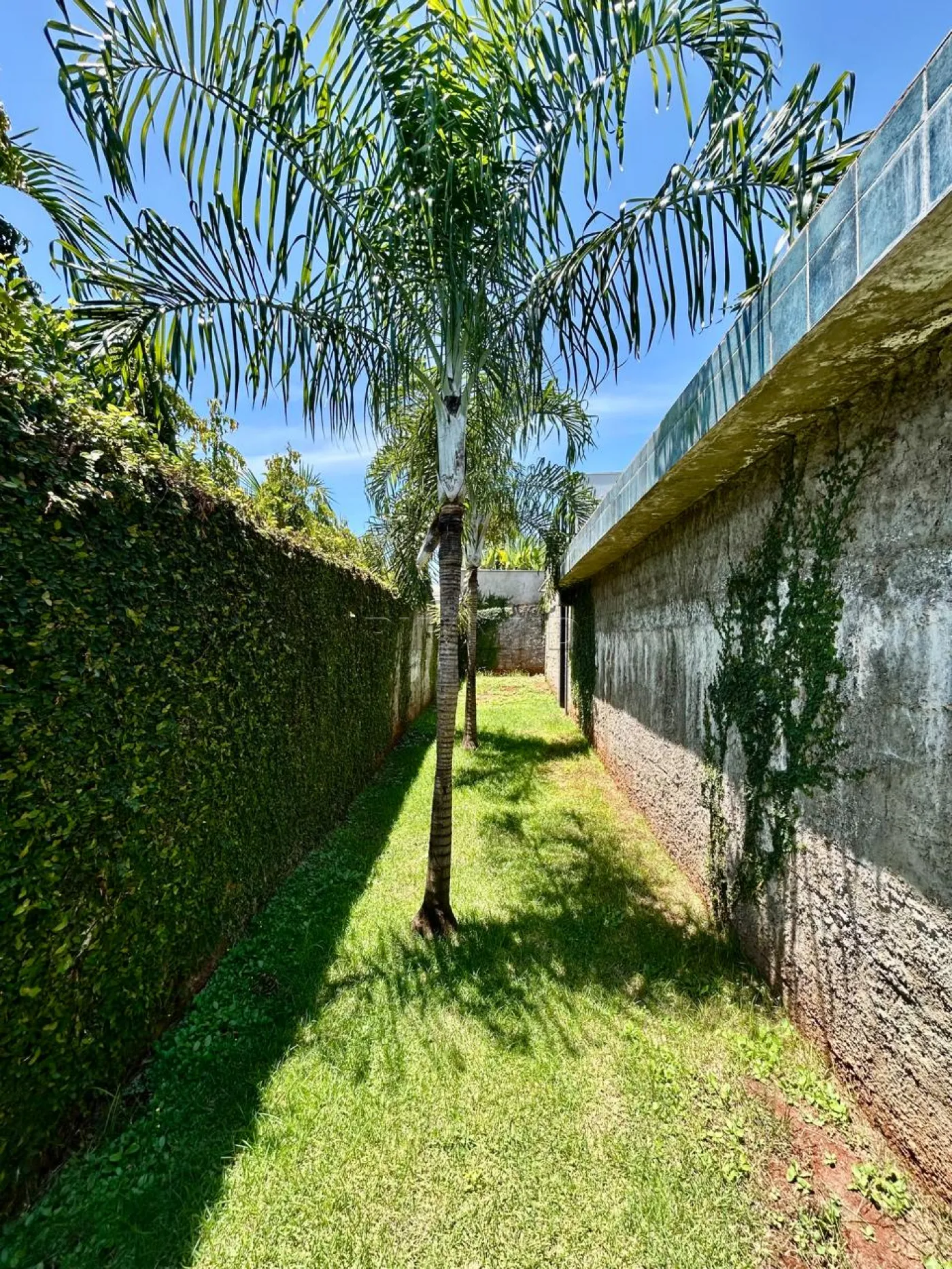 Comprar Casa / Condom&iacute;nio em Ribeir&atilde;o Preto R$ 2.600.000,00 - Foto 40