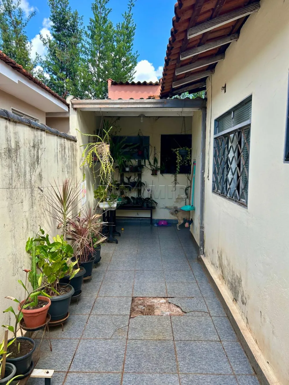 Comprar Casa / Padr&atilde;o em Ribeir&atilde;o Preto R$ 440.000,00 - Foto 19