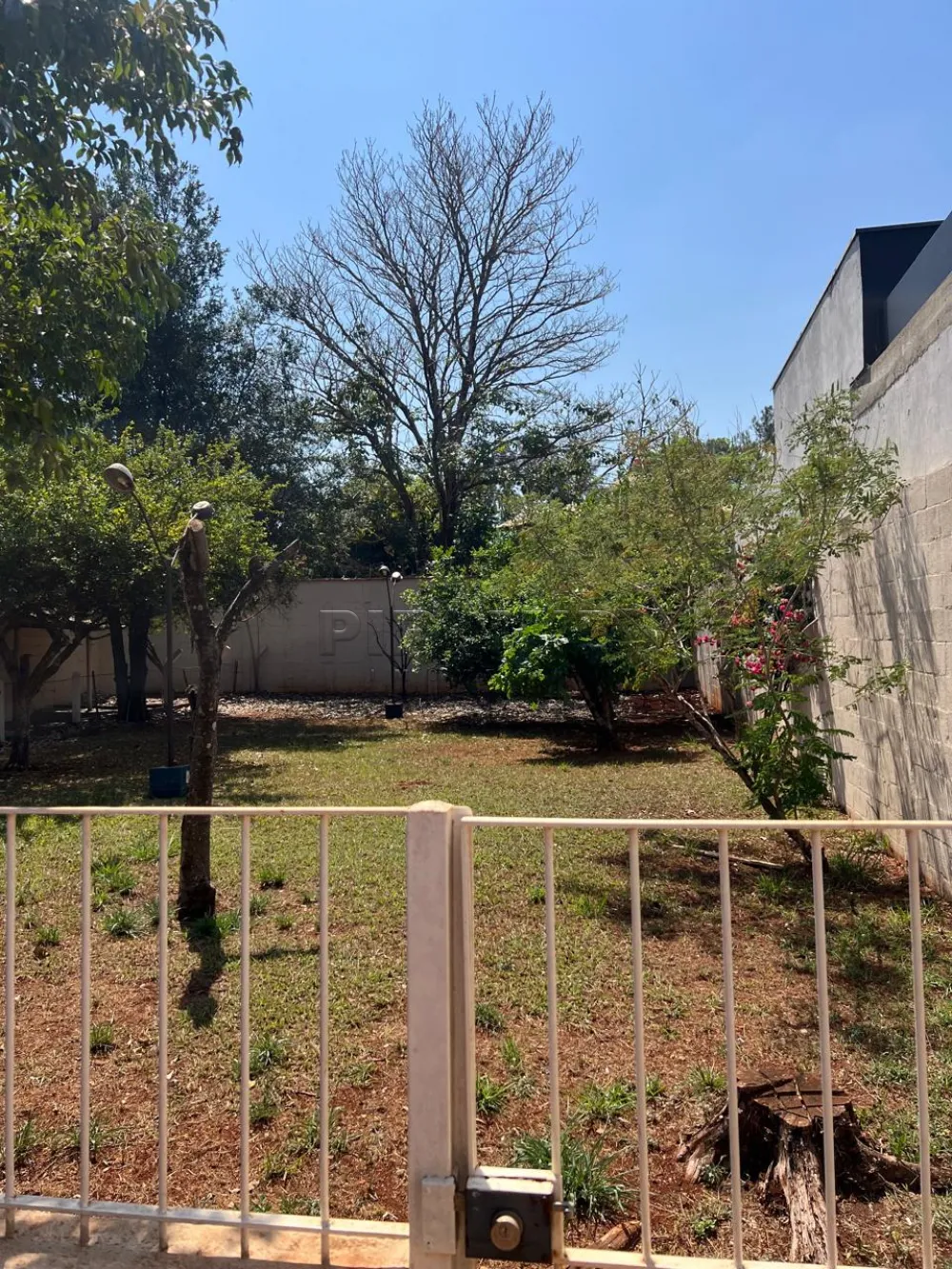 Comprar Casa / Padr&atilde;o em Ribeir&atilde;o Preto R$ 1.100.000,00 - Foto 11